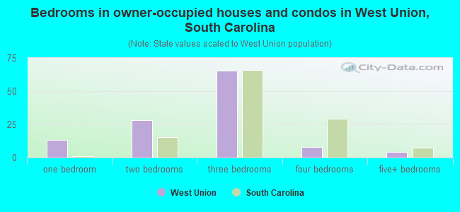 Bedrooms in owner-occupied houses and condos in West Union, South Carolina