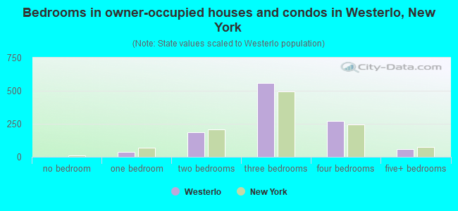 Bedrooms in owner-occupied houses and condos in Westerlo, New York