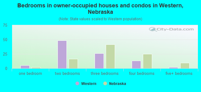 Bedrooms in owner-occupied houses and condos in Western, Nebraska