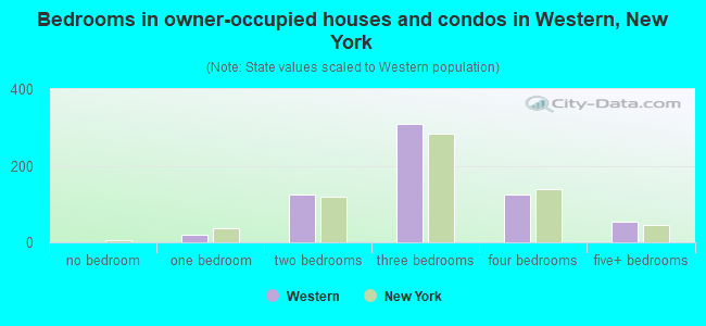 Bedrooms in owner-occupied houses and condos in Western, New York