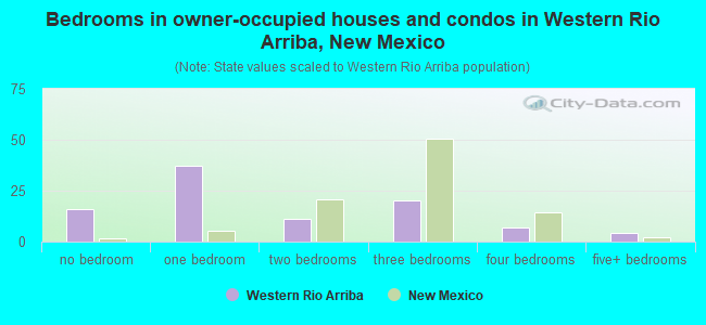 Bedrooms in owner-occupied houses and condos in Western Rio Arriba, New Mexico