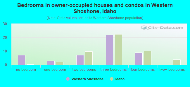 Bedrooms in owner-occupied houses and condos in Western Shoshone, Idaho