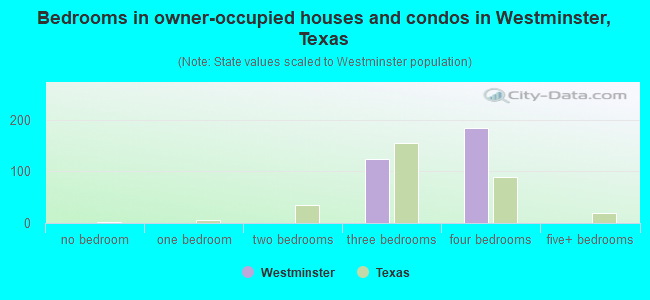 Bedrooms in owner-occupied houses and condos in Westminster, Texas