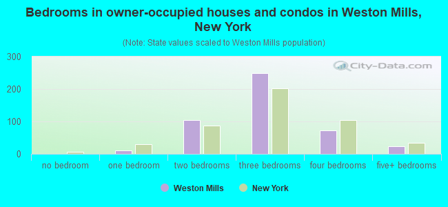 Bedrooms in owner-occupied houses and condos in Weston Mills, New York