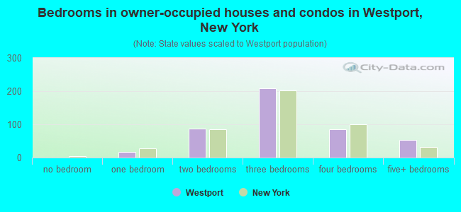 Bedrooms in owner-occupied houses and condos in Westport, New York