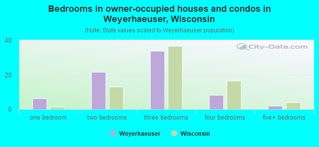 Bedrooms in owner-occupied houses and condos in Weyerhaeuser, Wisconsin