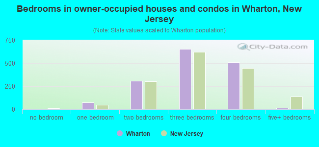 Bedrooms in owner-occupied houses and condos in Wharton, New Jersey