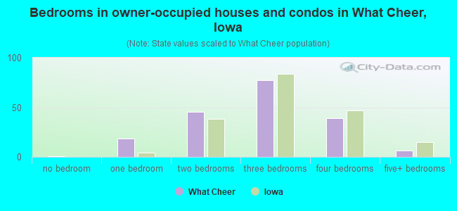 Bedrooms in owner-occupied houses and condos in What Cheer, Iowa