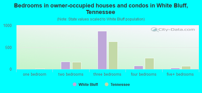 Bedrooms in owner-occupied houses and condos in White Bluff, Tennessee