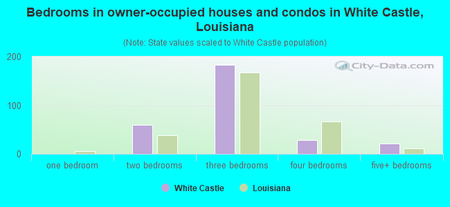 Bedrooms in owner-occupied houses and condos in White Castle, Louisiana