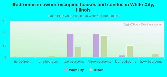 Bedrooms in owner-occupied houses and condos in White City, Illinois
