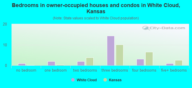 Bedrooms in owner-occupied houses and condos in White Cloud, Kansas