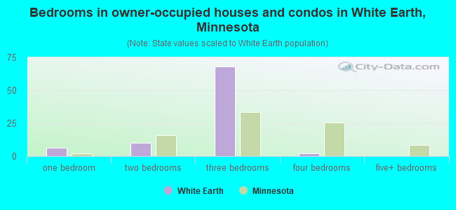 Bedrooms in owner-occupied houses and condos in White Earth, Minnesota