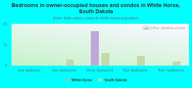 Bedrooms in owner-occupied houses and condos in White Horse, South Dakota