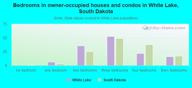 Bedrooms in owner-occupied houses and condos in White Lake, South Dakota