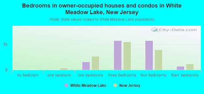 Bedrooms in owner-occupied houses and condos in White Meadow Lake, New Jersey