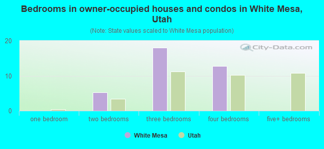 Bedrooms in owner-occupied houses and condos in White Mesa, Utah