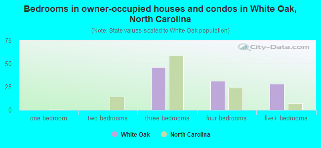 Bedrooms in owner-occupied houses and condos in White Oak, North Carolina