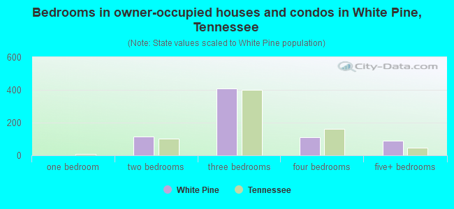 Bedrooms in owner-occupied houses and condos in White Pine, Tennessee