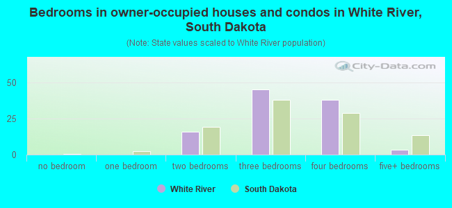 Bedrooms in owner-occupied houses and condos in White River, South Dakota