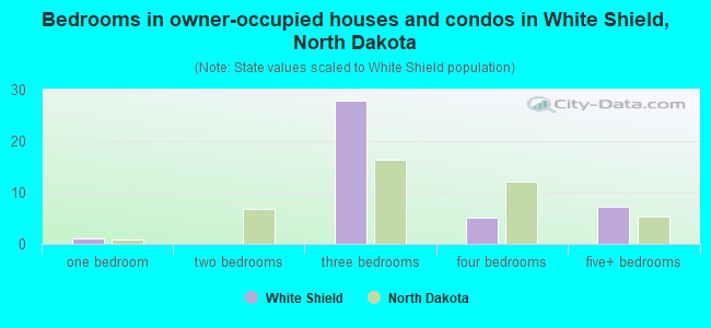 Bedrooms in owner-occupied houses and condos in White Shield, North Dakota