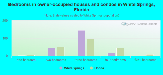 Bedrooms in owner-occupied houses and condos in White Springs, Florida