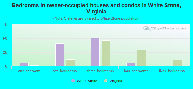 Bedrooms in owner-occupied houses and condos in White Stone, Virginia