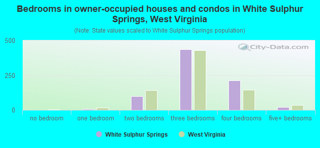 Bedrooms in owner-occupied houses and condos in White Sulphur Springs, West Virginia