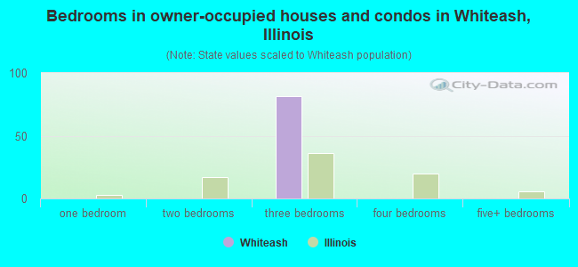 Bedrooms in owner-occupied houses and condos in Whiteash, Illinois