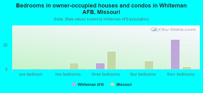 Bedrooms in owner-occupied houses and condos in Whiteman AFB, Missouri