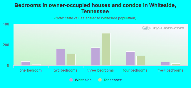 Bedrooms in owner-occupied houses and condos in Whiteside, Tennessee