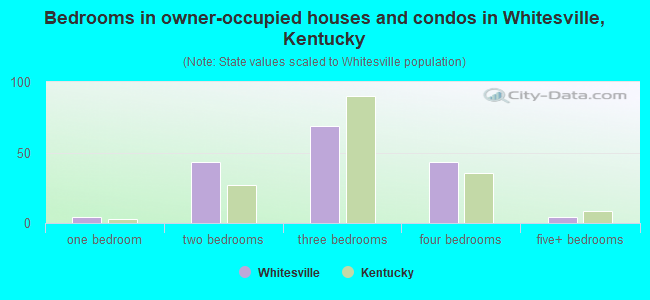 Bedrooms in owner-occupied houses and condos in Whitesville, Kentucky