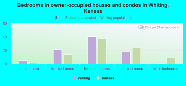 Bedrooms in owner-occupied houses and condos in Whiting, Kansas