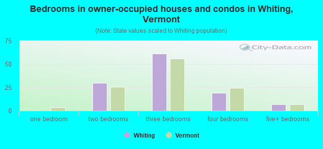 Bedrooms in owner-occupied houses and condos in Whiting, Vermont