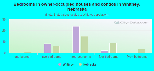 Bedrooms in owner-occupied houses and condos in Whitney, Nebraska