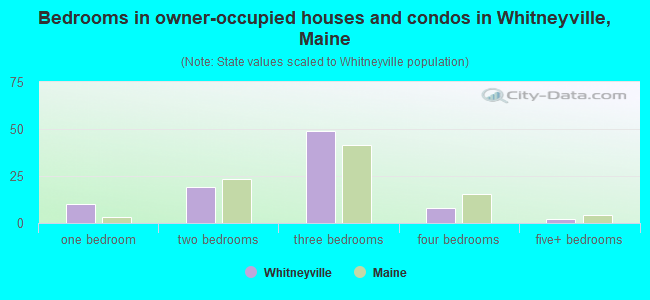 Bedrooms in owner-occupied houses and condos in Whitneyville, Maine