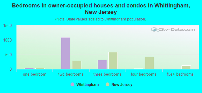 Bedrooms in owner-occupied houses and condos in Whittingham, New Jersey