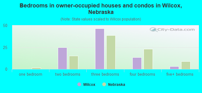 Bedrooms in owner-occupied houses and condos in Wilcox, Nebraska