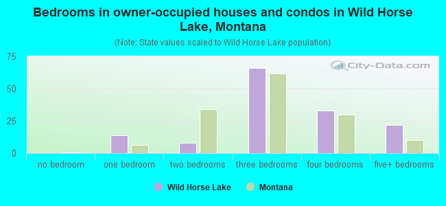 Bedrooms in owner-occupied houses and condos in Wild Horse Lake, Montana