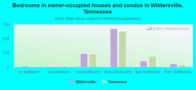 Bedrooms in owner-occupied houses and condos in Wildersville, Tennessee