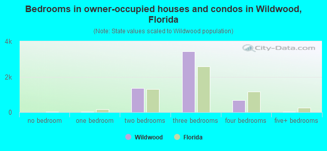 Bedrooms in owner-occupied houses and condos in Wildwood, Florida
