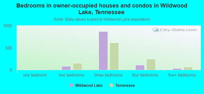 Bedrooms in owner-occupied houses and condos in Wildwood Lake, Tennessee