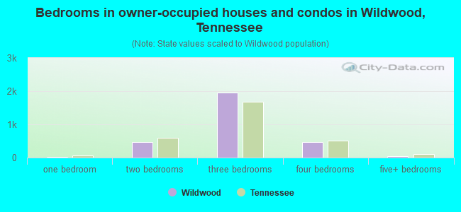 Bedrooms in owner-occupied houses and condos in Wildwood, Tennessee