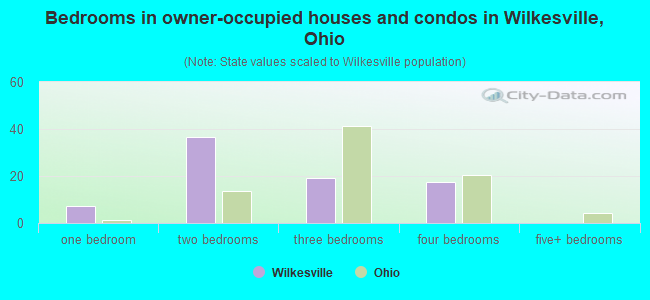 Bedrooms in owner-occupied houses and condos in Wilkesville, Ohio