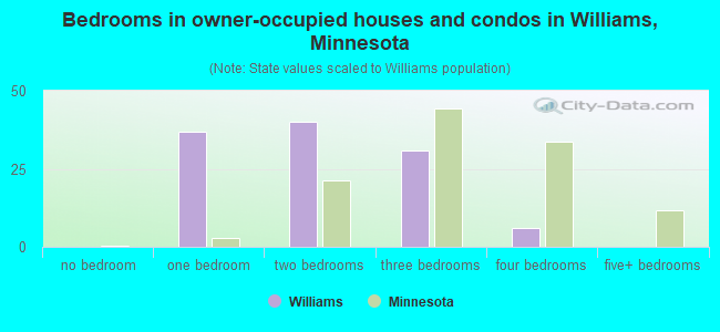 Bedrooms in owner-occupied houses and condos in Williams, Minnesota