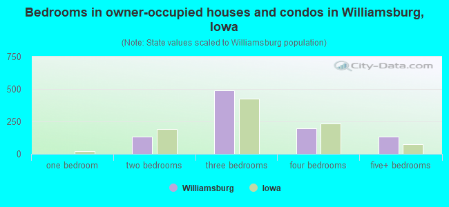 Bedrooms in owner-occupied houses and condos in Williamsburg, Iowa