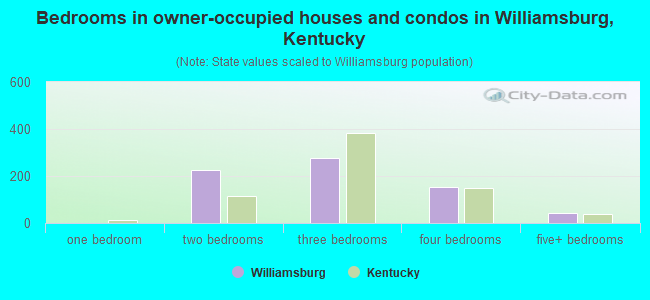 Bedrooms in owner-occupied houses and condos in Williamsburg, Kentucky