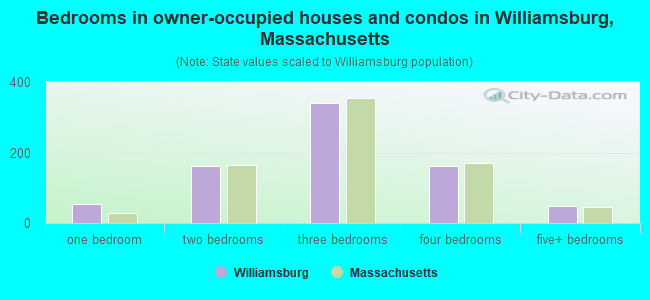 Bedrooms in owner-occupied houses and condos in Williamsburg, Massachusetts