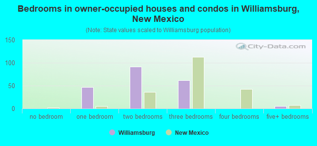 Bedrooms in owner-occupied houses and condos in Williamsburg, New Mexico