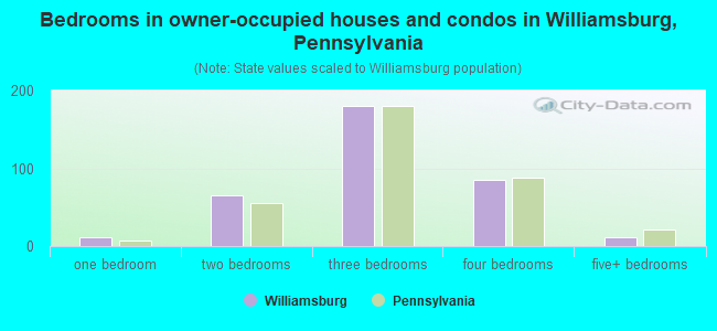 Bedrooms in owner-occupied houses and condos in Williamsburg, Pennsylvania